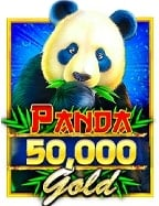 solarbet ดี ไหม? มาทดลองเล่นกันเถอะ!